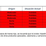 Screenshot_2024-12-30-13-35-52-923_com.mi.globalbrowser