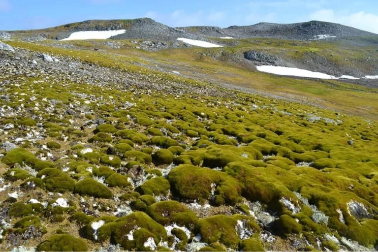 La NASA alerta sobre los cambios sorprendentes en la Antártida