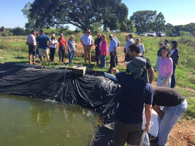 Proyecto de Acuicultura: Siembra de más de 1.500 alevines en Villa Constitución, Uruguay