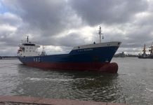 RSC Íntegro: del pasado en Radimon al crecimiento regional con RoRo Shipping Company