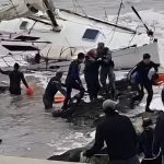 velero roto