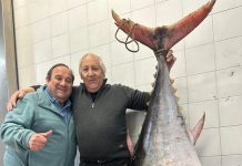 Capturan un imponente atún de aleta amarilla de 165 kilos
