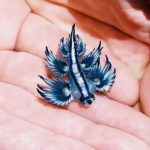 dragon azul