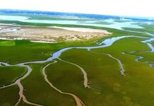 El humedal del arroyo Maldonado, en camino a ser reconocido como sitio Ramsar de alto valor ecológico
