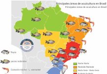 Brasil bate récords en acuicultura: tilapia y camarón impulsan el crecimiento
