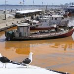 las noctilucas tiñen