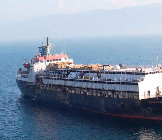 Barco con casi 3.000 bovinos retorna hacia Uruguay tras un mes varado en Turquía