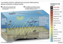 Prospección sísmica: colectivos ambientales cuestionan las autorizaciones y convocan a una movilización nacional el 15 de diciembre