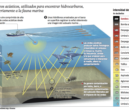 Prospección sísmica: colectivos ambientales cuestionan las autorizaciones y convocan a una movilización nacional el 15 de diciembre