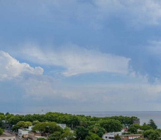 MINTUR y ANP coordinan acciones para optimizar el servicio de pasajeros en los puertos de Colonia y Montevideo