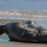 Screenshot_2025-12-29-11-03-10-124_com.instagram.android-edit