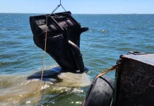 La ANP recuperó el cabezal de dragado de la Draga 11 “21 de Julio” en el canal de acceso al Puerto de Montevideo