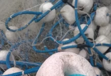 Brasil prorroga hasta fines de 2026 el uso de redes de enmalle de superficie en el estado de San Pablo