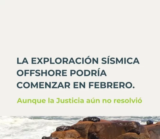 SO.CO.BIO.MA alerta por impactos ambientales ante el posible inicio de la sísmica offshore mientras la Justicia aún no se expidió