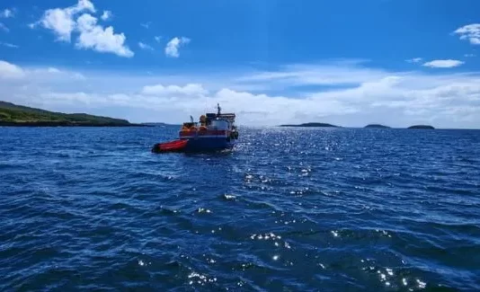 Chile: Sernapesca inicia el 2026 con más de 15 toneladas de recursos incautados en dos semanas