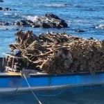 banner-fiscalizacion-obispito-convertido-de-jpg