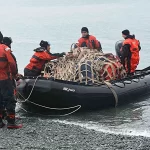 1769898042996-convertido-de-jpeg