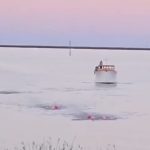 Screenshot_2026-02-14-06-08-46-472_com.instagram.android-edit