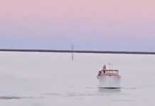 El Río de la Plata tiene una nueva ruta: histórica travesía a nado unió Carmelo con San Isidro