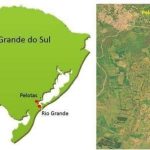 Isla en Laguna de los Patos