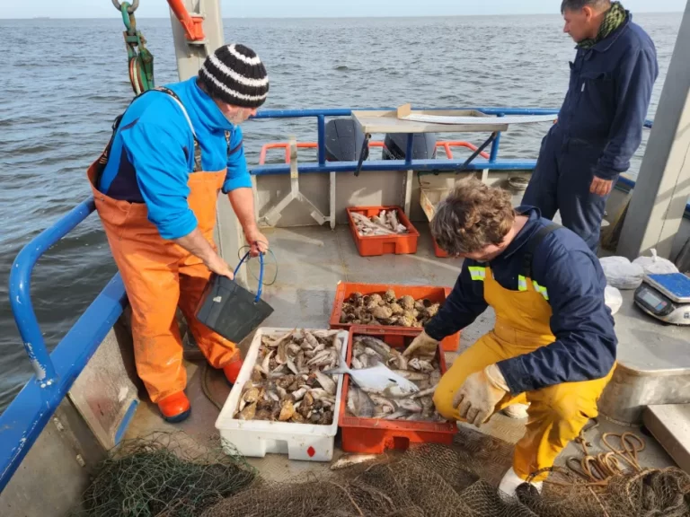 DINARA impulsa un crucero científico para relevar la biodiversidad del Parque Nacional Isla de Flores
