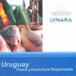 dina300