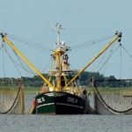 pesca ilegalperu