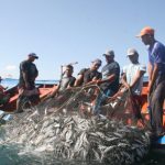 pescadores hoy