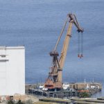 shell planta