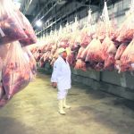 thumbnail_foto frigorifico