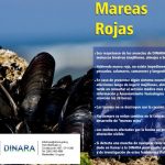 marea roja Dinara