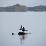 parque nacional farrapos