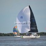 regata 50