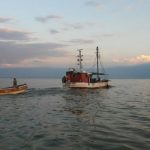 denuncia-ictícola-04-e1521934274206