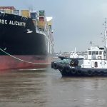 31261
