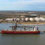 nueva palmira puerto