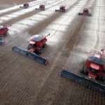 sudamerica crece soja