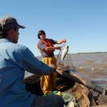 pesca promovida