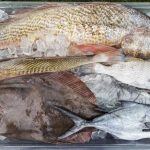 pescados