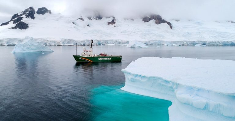 Greenpeace pide declarar zonas protegidas en el 30% de los mares