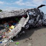 MAERSK cachalote muerto