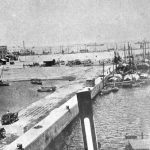 traccion animal puerto