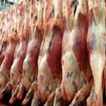 export carnes