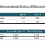 exportaciones imagen 2