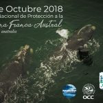 5 de octubre