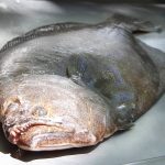 lenguado
