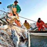 pescadores (1)