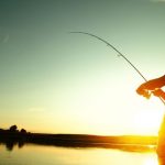 proyecto pesca