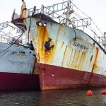abandonados