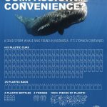 contenido del cachalote